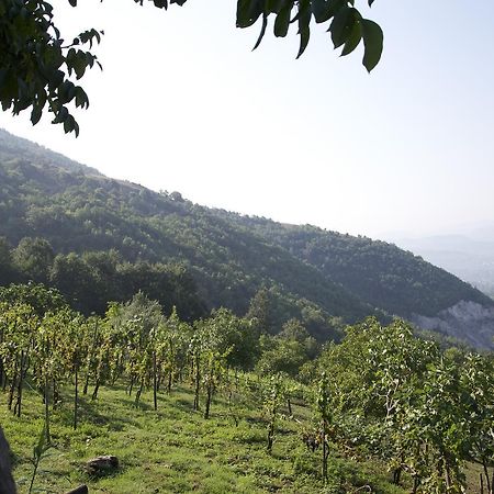 Fattoria Alvaneta Падула Экстерьер фото